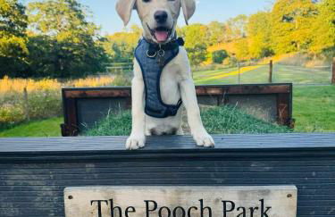 Pingle Nook Barn on the Farm - Denby Dale - Foto 45