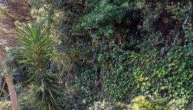 Casa Nora - Photo 5