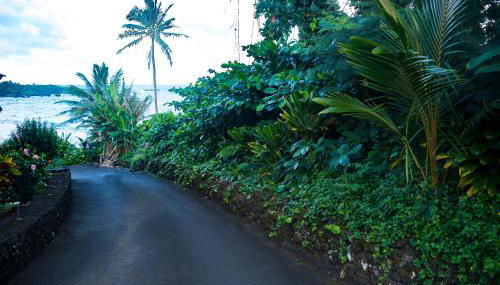 Hana Kai Maui - #103 Helani oceanview 1 BR - Foto 5, Garden