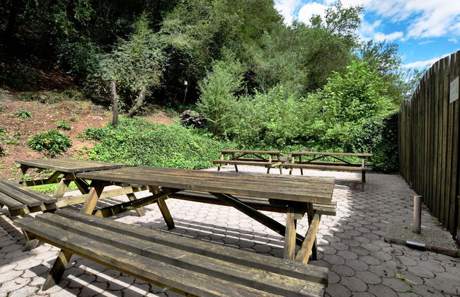 Holiday Home in Rendeux With Terrace - Photo 30