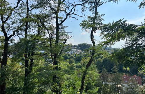 Luxuswohnung in Villa mit fantastischem Blick - Photo 15