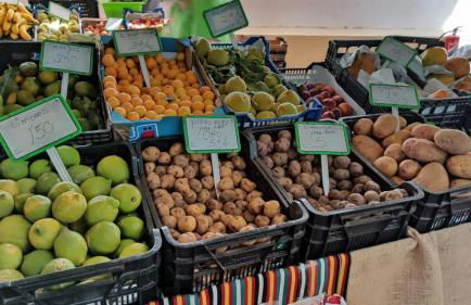 Vacacional Candelaria la Sardina - Foto 57