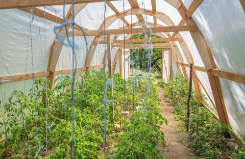 Les chambres de la ferme de chalas - Foto 32