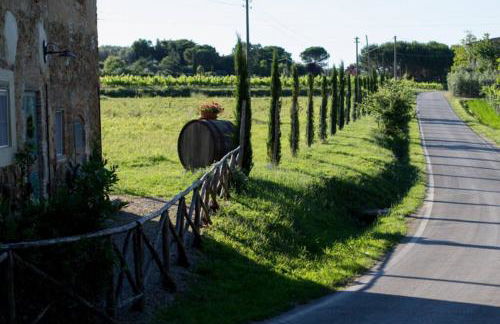 Agriturismo Casariccio - Casa Viola - Photo 21