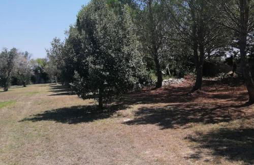 Villa del glicine - Foto 24