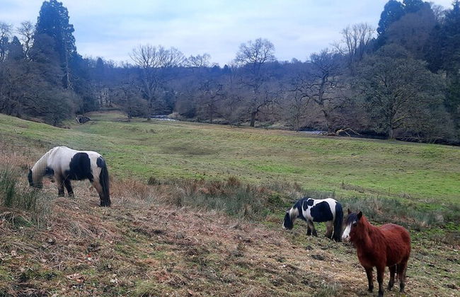 Cozy Lanarkshire Apartment With a View - Foto 13