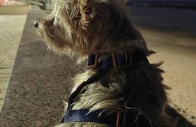 Comodidades na Estrada do Coco - Foto 19