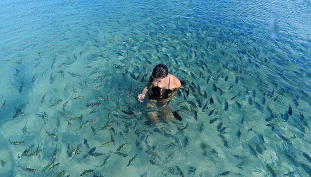 Bañándonos en las aguas de Porto de Galinhas