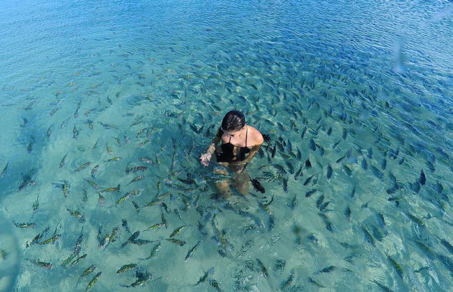 Escursione a Porto de Galinhas - Foto 4