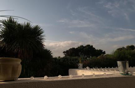 El Jardín de Sotogrande - Foto 2