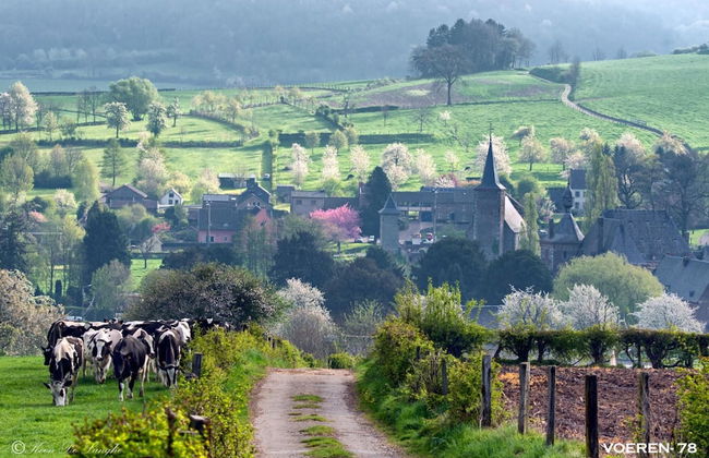Lovely Detached House Het Koetshuis - Foto 9