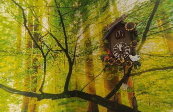 Apartments Giovannini - Foto 22