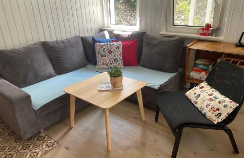 Modry Domek Sznurki Całoroczny Ogrodzony - Foto 29