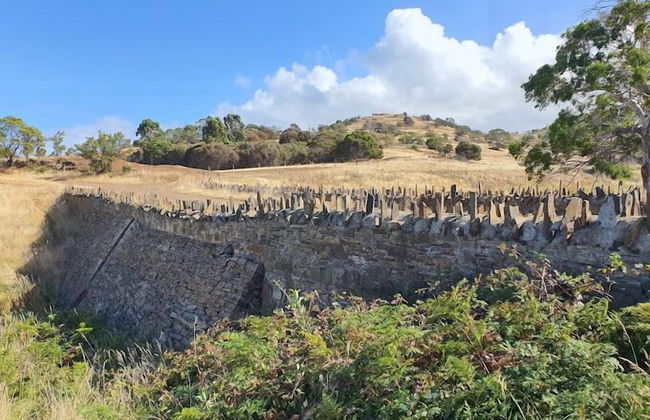 Avalon Coastal Retreat - Foto 29