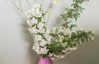 all'ombra del Bagolaro - Photo 9