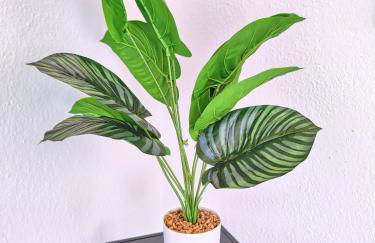 Early Year Deal - 150 qm Fachwerkhaus mit Heimkino & Privat-Sauna & Pool - Photo 7