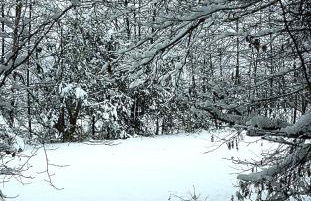 Bungalow direkt am See, mit eigenem Boot - Foto 13