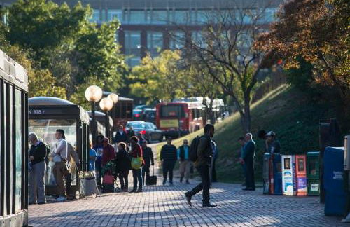 THE LIBERTY HOUSE Of Old Town Designer Home - Foto 74