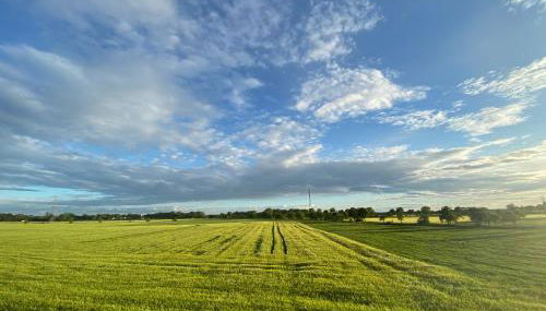 Ferienwohnung Bock im Seenland - Foto 2