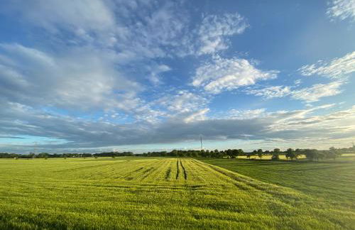 Ferienwohnung Bock im Seenland - Foto 2