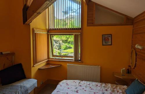 Bryn Elltyd Eco House - Foto 38