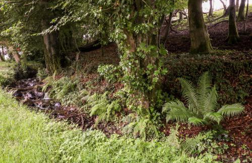 Lavender Lodge - Foto 23