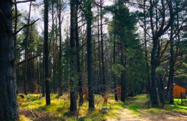 Znowu wrócisz - Foto 59