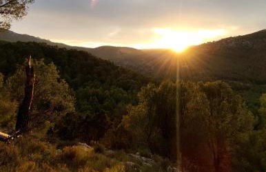 Finca La Celada - Foto 25