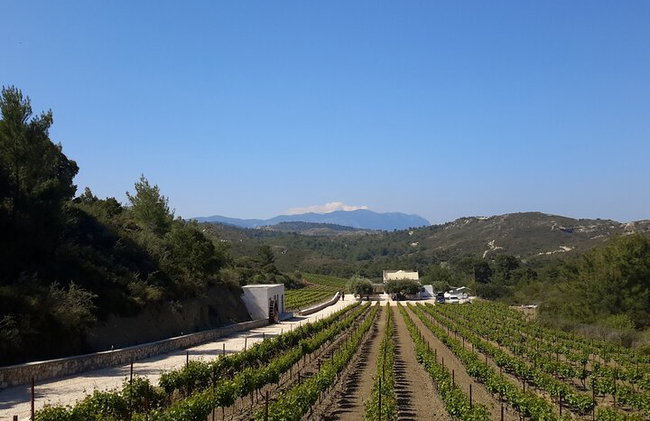 Elaboración de jabón tradicional guiado en Rodas - Foto 10
