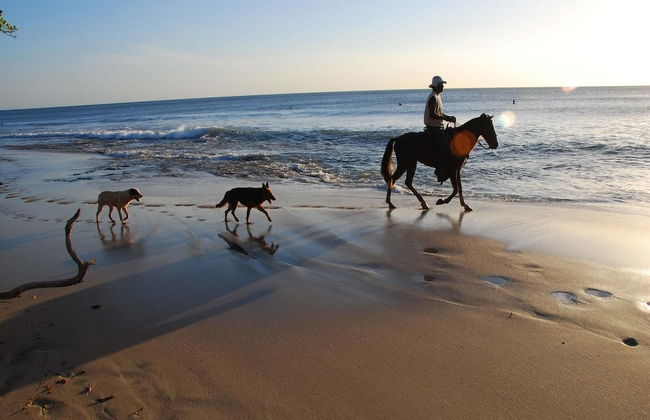2-Bedroom Condo with Ocean View and Pool - Photo 27