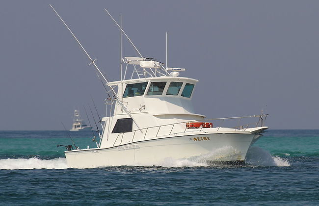 Coastal Nest @ Enclave 602a - Foto 28