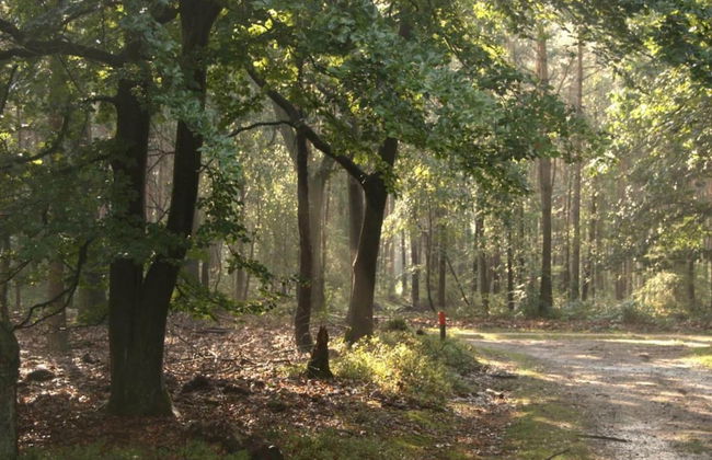 Spacious Holiday Home in Voorhuizen With Terrace - Photo 39