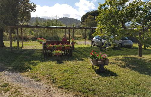 Agriturismo S. Agostino - Foto 6