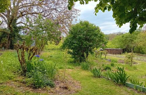 Les Ecureuils 4 / 6 personnes - Photo 12