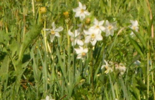 Agriturismo La Casa Nei Boschi - Foto 68