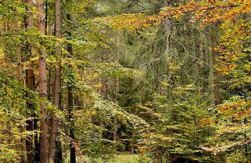 Apple Tree House - Foto 58