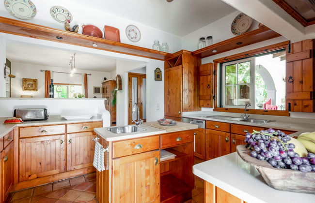 Quintal das Oliveiras - Foto 8