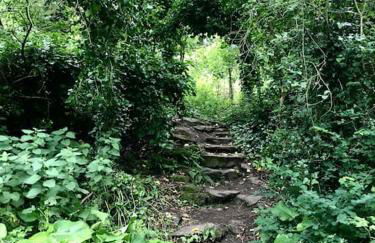 'The Studio' Designer, seaside cottage - Foto 61