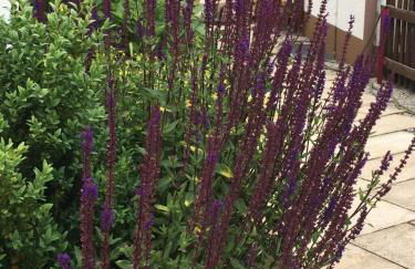 ZEIT für DICH - Foto 36