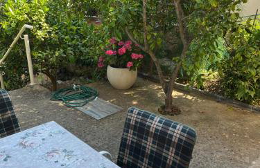 Apartments Despotović - Photo 14