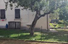 Bioledro - Casa Lena - Foto 12