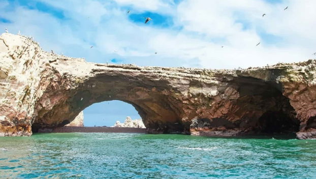 Escursione a Ica e Huacachina + Isole Ballestas - Foto 4