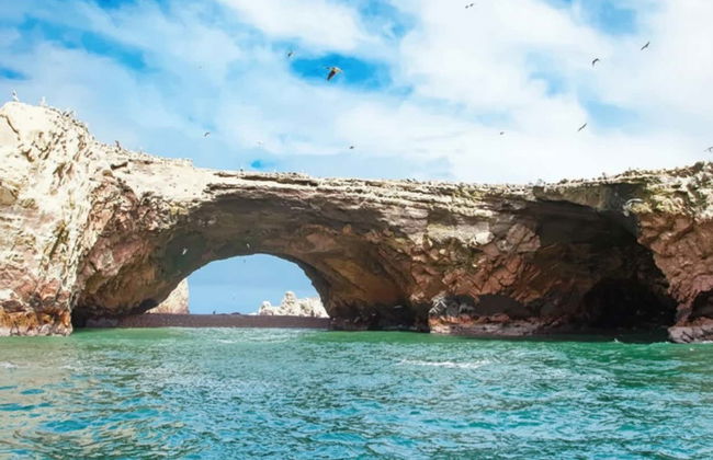 Excursión a Ica y Huacachina + Islas Ballestas - Foto 4