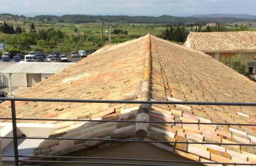 villa du chai studio pyrénées - Foto 10