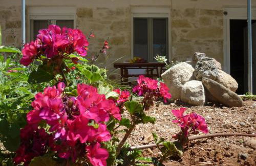 Zeus Traditional House - Foto 24