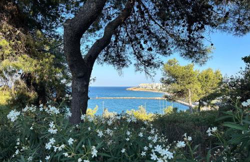 Stella's Petite Boîte - Foto 27