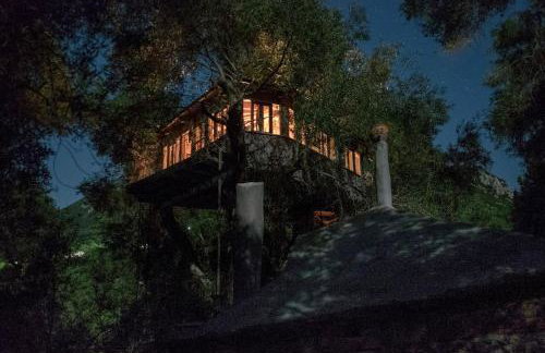 Margaritis's Treehouse - Foto 1