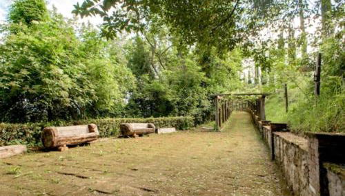 Fattoria Uccelliera - Foto 2, Garden