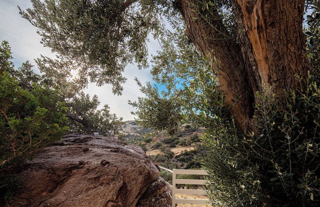 House Verg - Foto 25