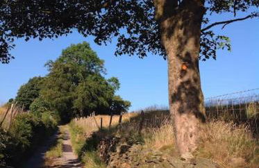 The Croft Holiday Cottage - AA Accredited, Country Cottage - Foto 37